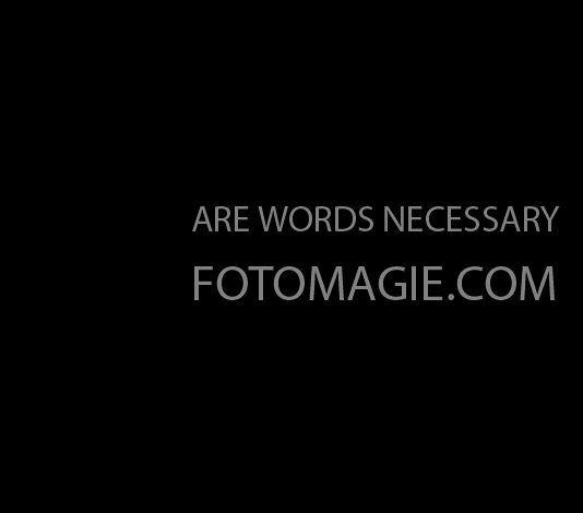 Are Words Necessary