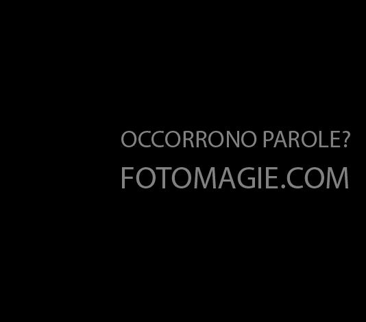 Occorono Parole